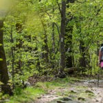 Hiker walks on A.T. in WV through green flora