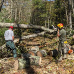 Helene damage in Mt Rogers NRA