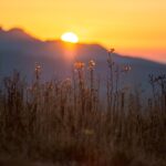 Roan Highlands_By Horizonline Pictures