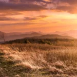 Tennessee