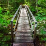 Vermont